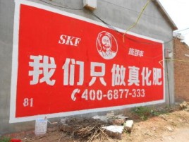 宁国刷墙广告”蕴含了时代命题