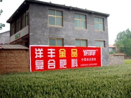 宁国如何让墙体广告展现最大化效果
