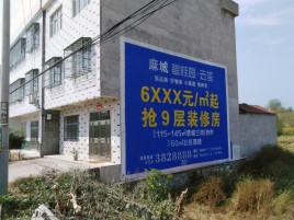 宁国墙体广告质量分析