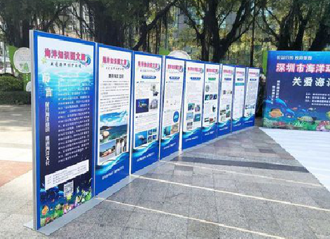 宁国KT板的种类和知识。